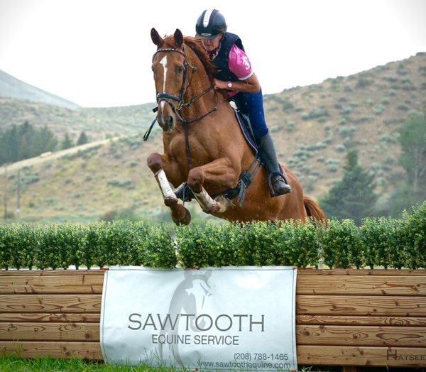 Sawtooth Equine Service profile picture