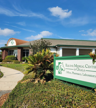 Equine Medical Center Of Ocala profile picture