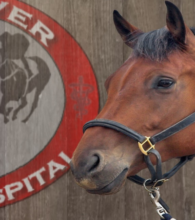 Red River Equine Hospital profile picture