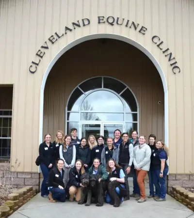 Cleveland Equine Clinic LLC profile picture