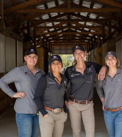 Mccleery Equine Veterinary Services profile picture