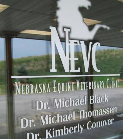 Nebraska Equine Veterinary Clinic profile picture