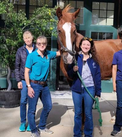 New England Equine Medical and Surgical Center profile picture
