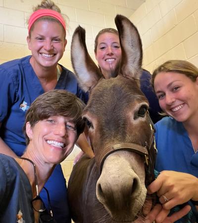 New Jersey Equine Clinic profile picture