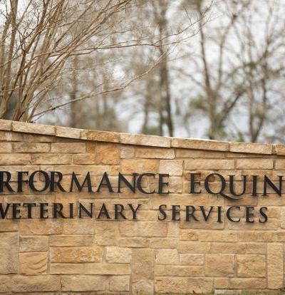 Performance Equine Vets profile picture
