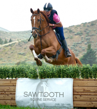 Sawtooth Equine Service profile picture