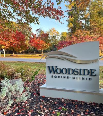 Woodside Equine Clinic profile picture